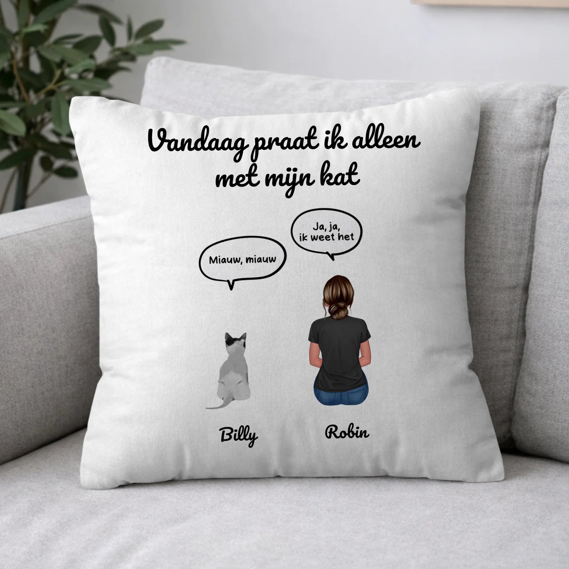 Pillow 2-1