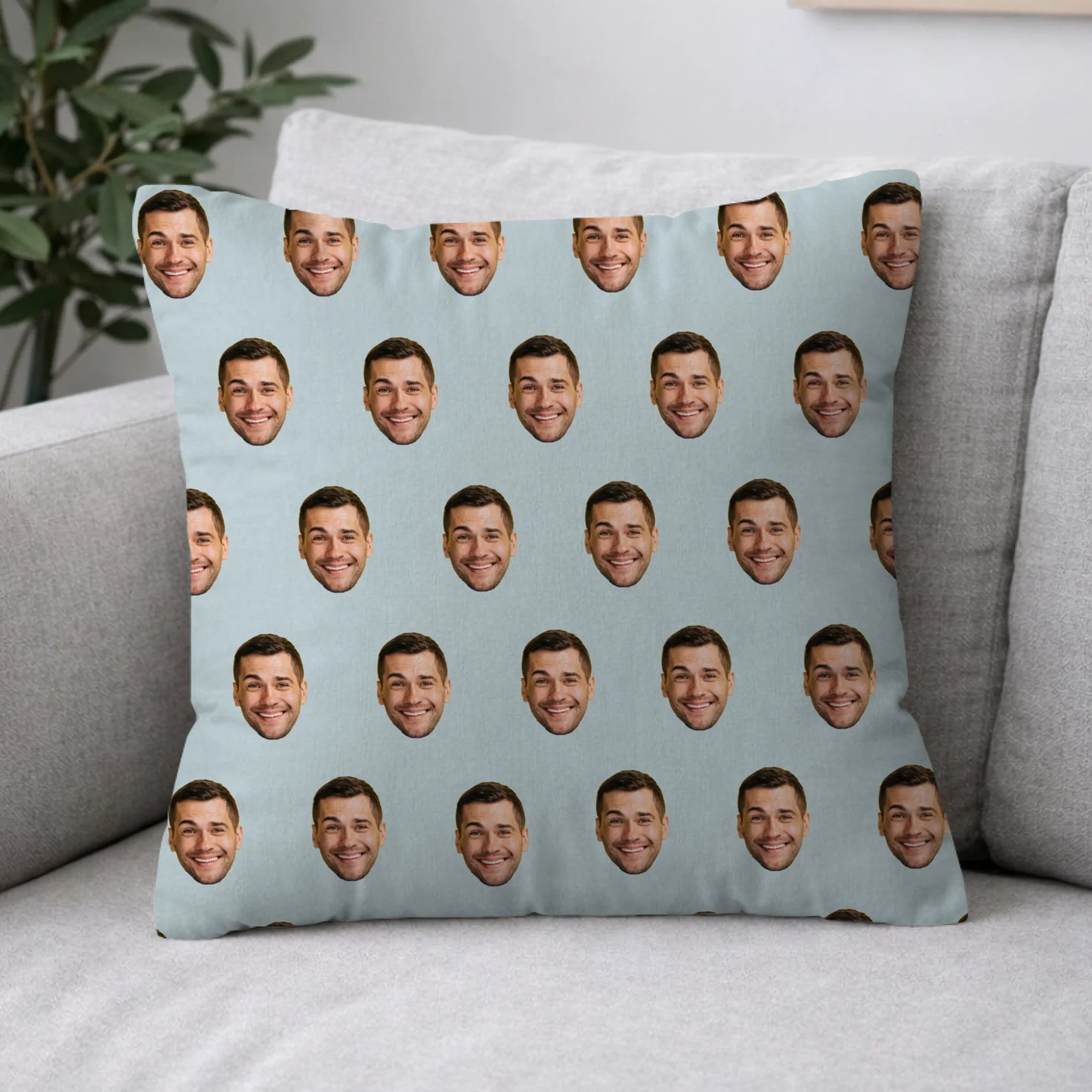 Pillow 2-1