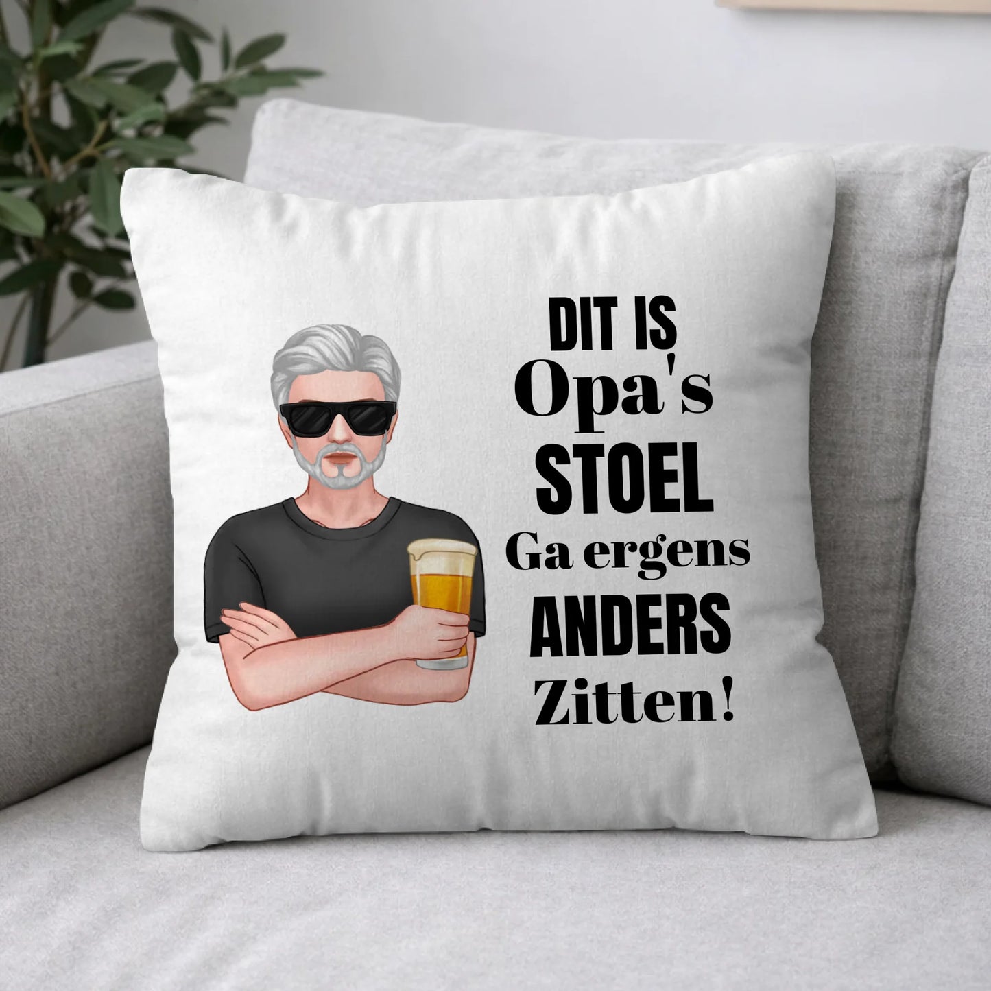 Pillow 2-1
