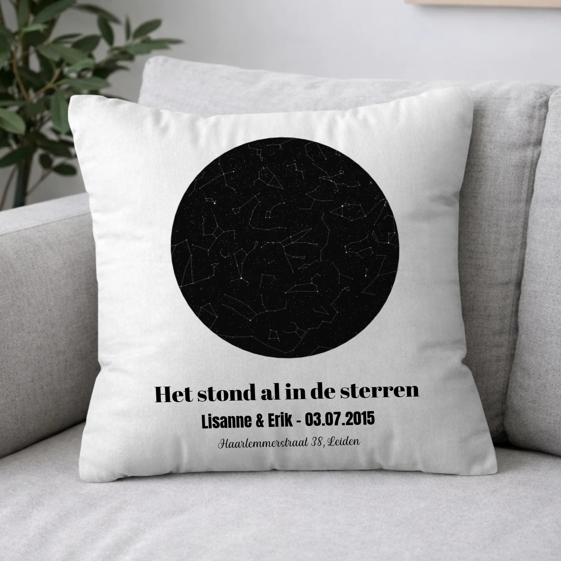 Pillow 2-1