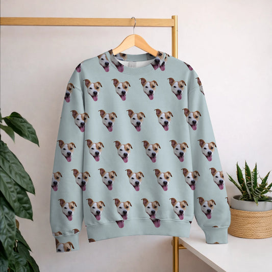 Sweatshirt 1
