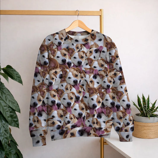 Sweatshirt 1