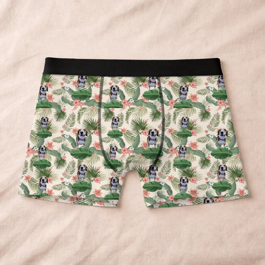 Boxer 1