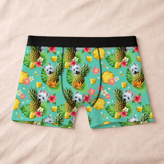 Boxer 1