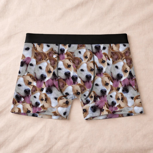 Boxer 1