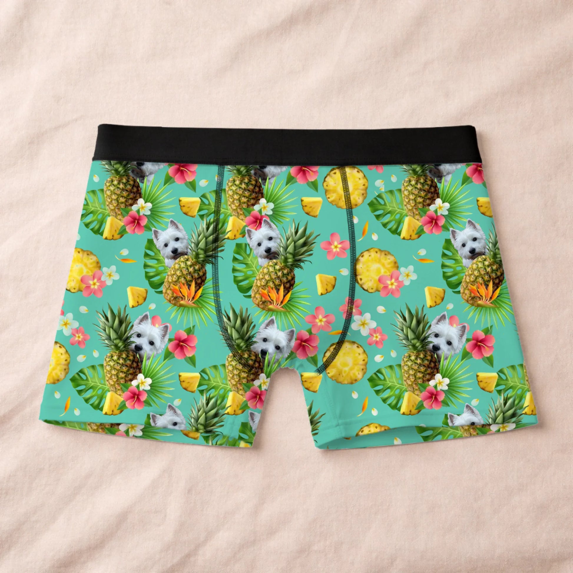 Boxer 1