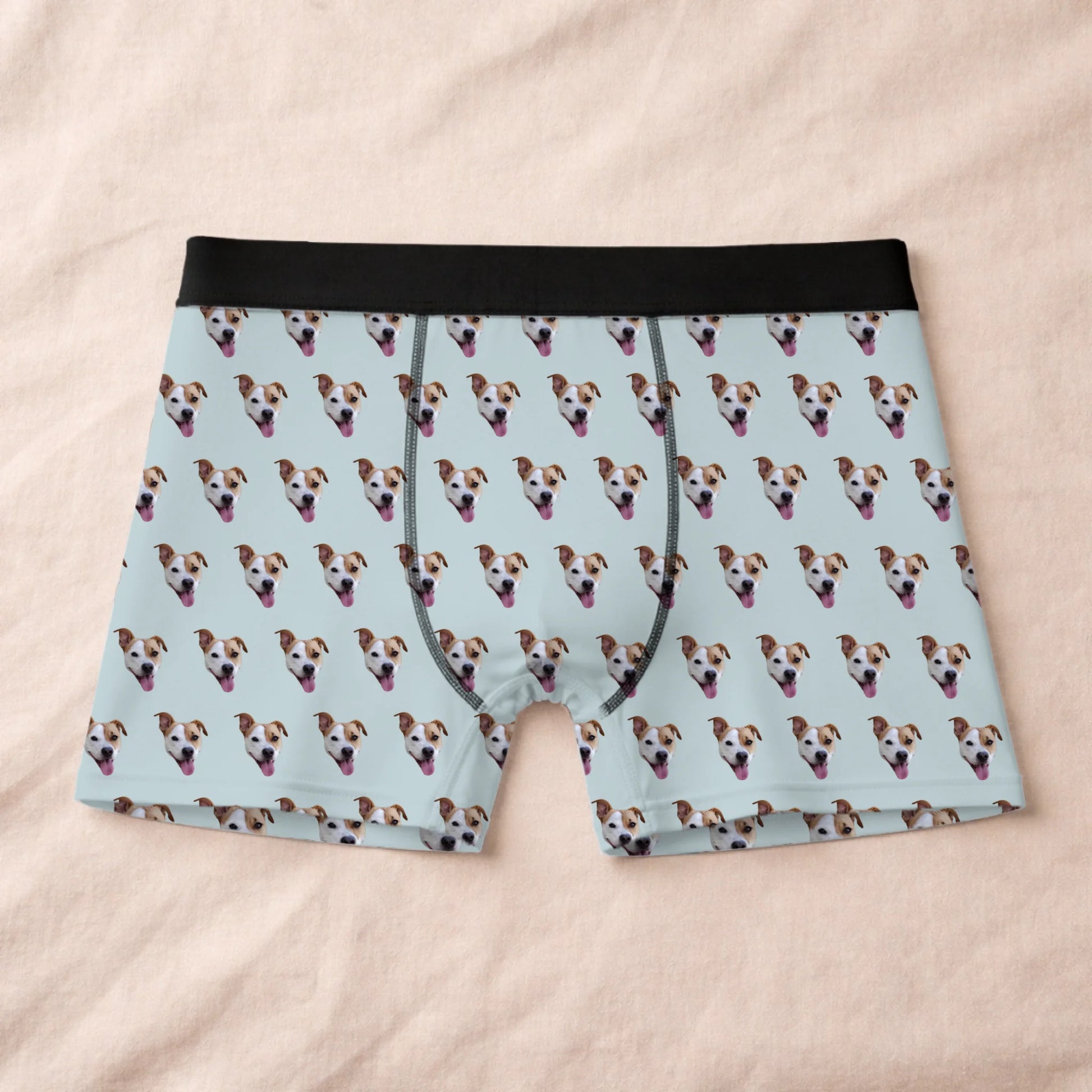 Boxer 1