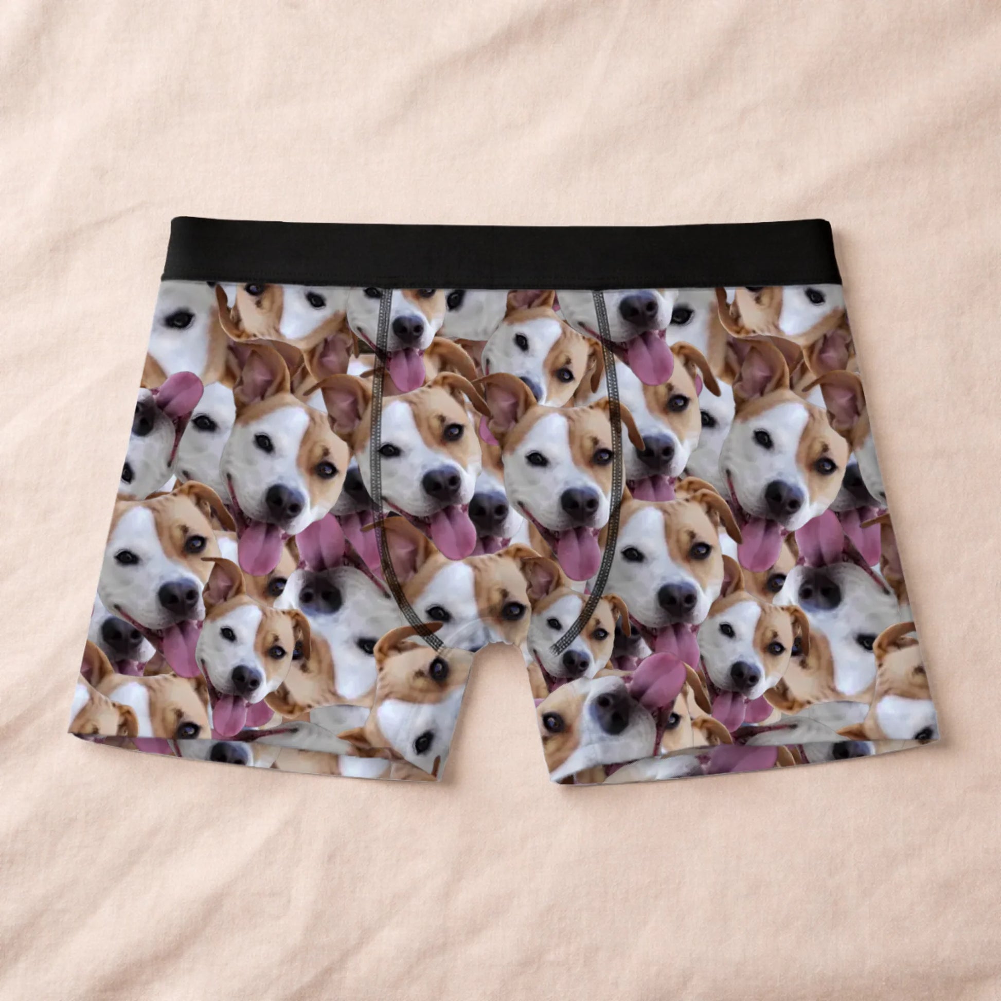 Boxer 1