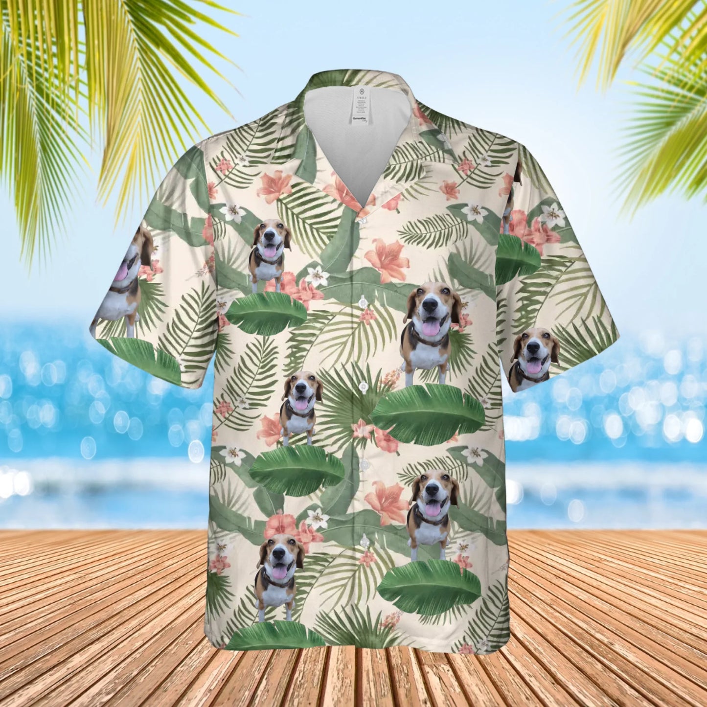 1 shirt