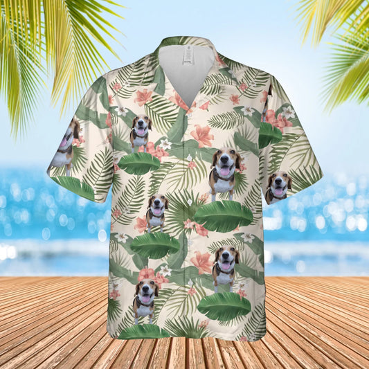 1 shirt