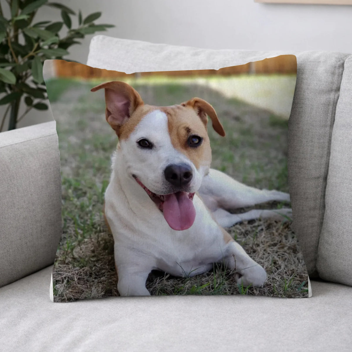 Pillow 2-1
