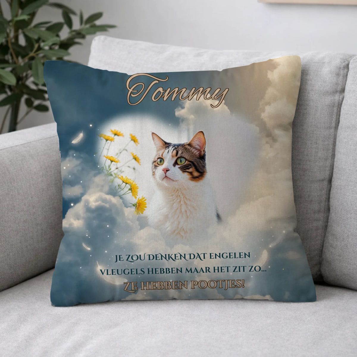 Pillow 2-1